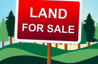 Direct Brief Location: Garki  Size: 2.21Ha  Purpose: commercial Price: 1.7B