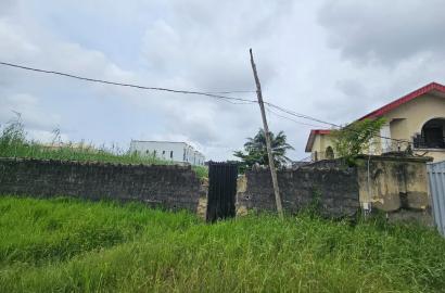 FOR SALE  1, 300 SQM OF LAND IN THOMAS ESTATE AJAH-LAGOS TITLE COFO